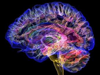 操逼wwwcom大脑植入物有助于严重头部损伤恢复